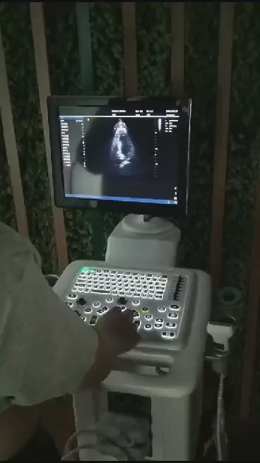 Color doppler BLS X5  ECOGRAPH , CARDIAC PROBE