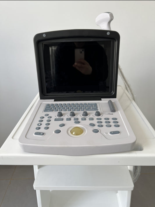 ##ecographe ##12inch BW ultrasound machine . With convex probe and batterie