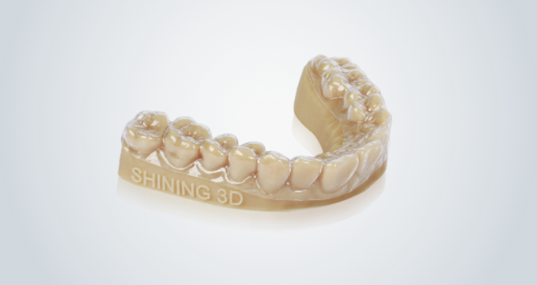 Dental Resin Orthodontic model